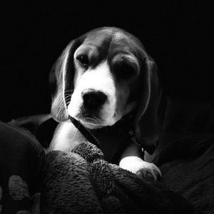 Meet your Posher, Stephen